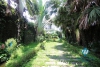 Lovely garden house in Tay Ho for rent - fully furnished